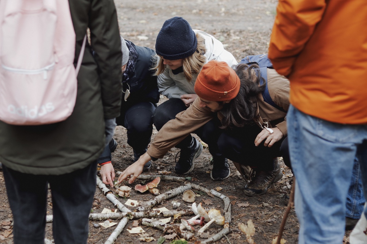 Entdeckungsreise durch die Natur: Gemeinsames Pilze sammeln während einer inspirierenden Wanderung in Berlin-Brandenburg